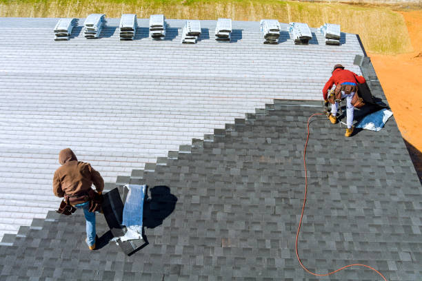 Best Flat Roof Repair Services  in Winona, MS