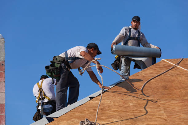 Best Roof Gutter Cleaning  in Winona, MS