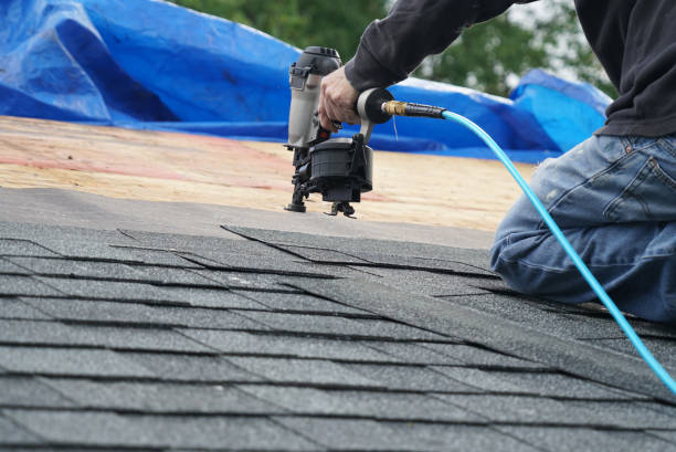 Best Roof Maintenance Services  in Winona, MS