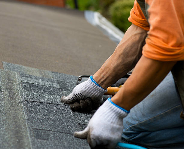 Best Best Roofing Contractors  in Winona, MS