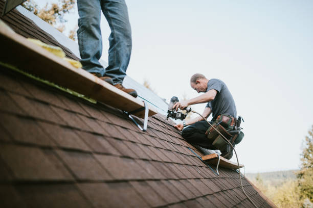 Best New Roof Installation  in Winona, MS