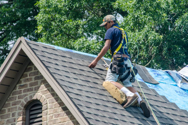 Best New Roof Installation  in Winona, MS